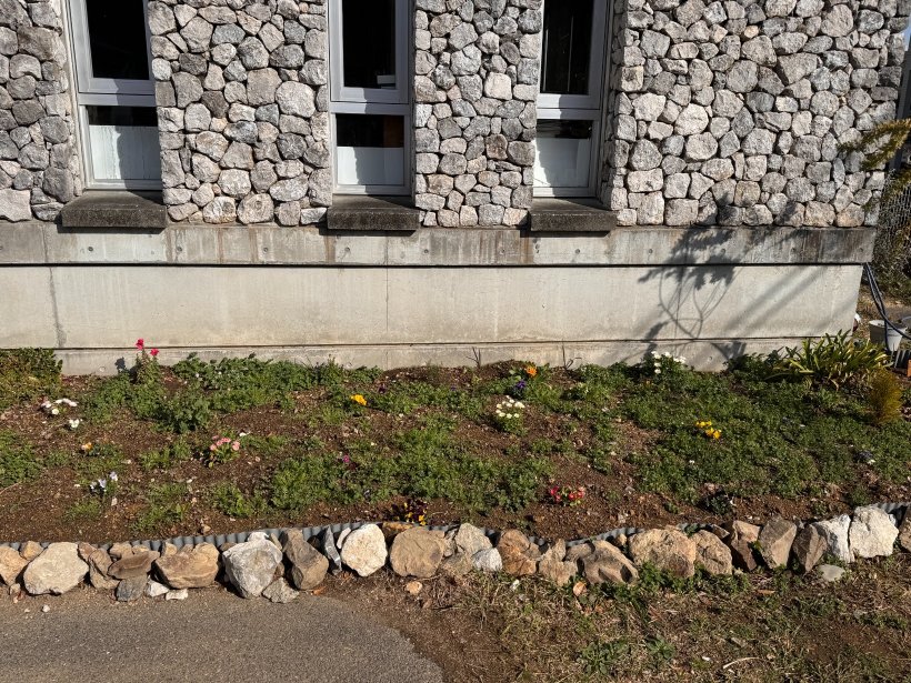 草が沢山生えた花壇